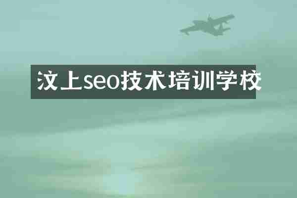 汶上seo技术培训学校