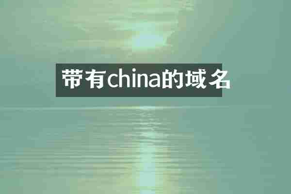带有china的域名