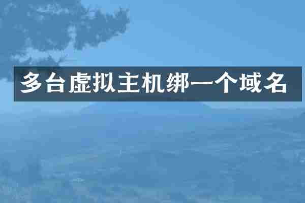 多台虚拟主机绑一个域名
