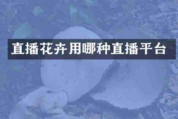 直播花卉用哪种直播平台