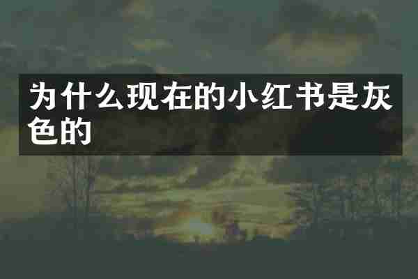 为什么现在的小红书是灰色的