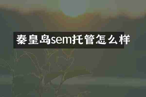 秦皇岛sem托管怎么样