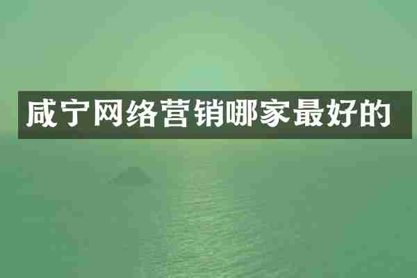 咸宁网络营销哪家最好的