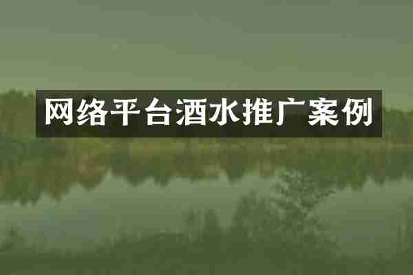 网络平台酒水推广案例