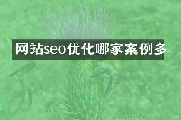 网站seo优化哪家案例多