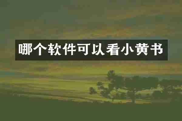 哪个软件可以看小黄书