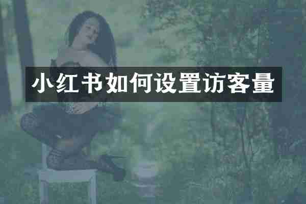 小红书如何设置访客量
