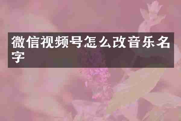 微信视频号怎么改音乐名字