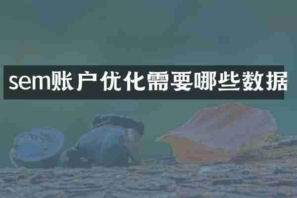 sem账户优化需要哪些数据