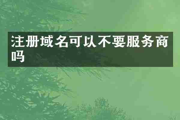 注册域名可以不要服务商吗