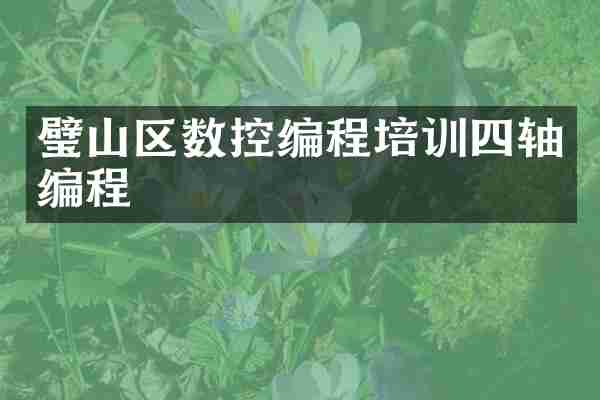 璧山区数控编程培训四轴编程