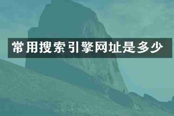 常用搜索引擎网址是多少