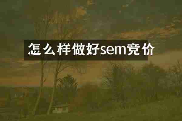 怎么样做好sem竞价