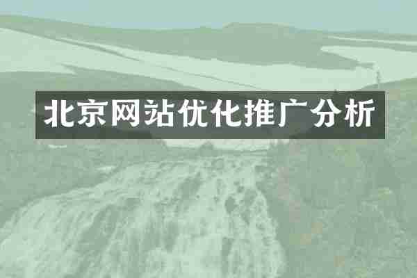 北京网站优化推广分析