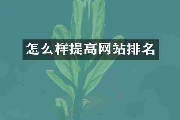 怎么样提高网站排名