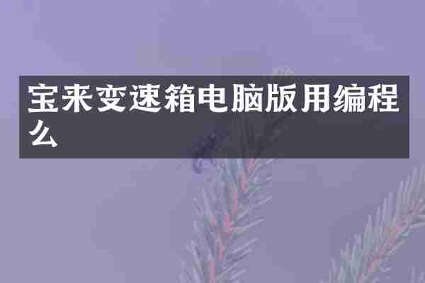 宝来变速箱电脑版用编程么