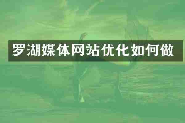 罗湖媒体网站优化如何做