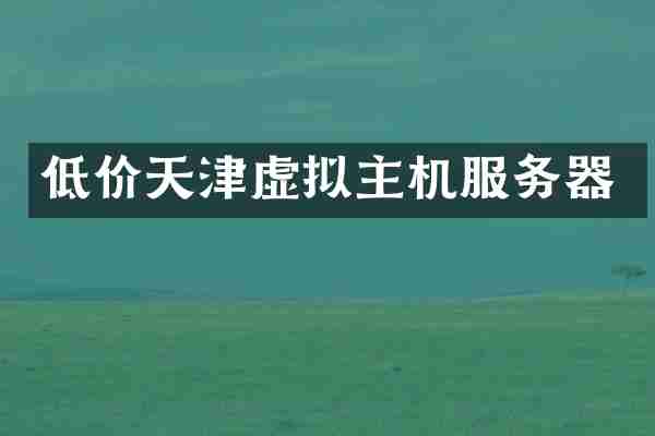低价天津虚拟主机服务器