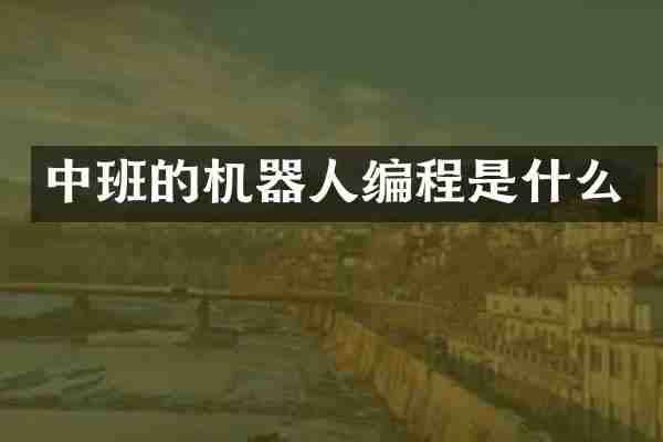 中班的机器人编程是什么