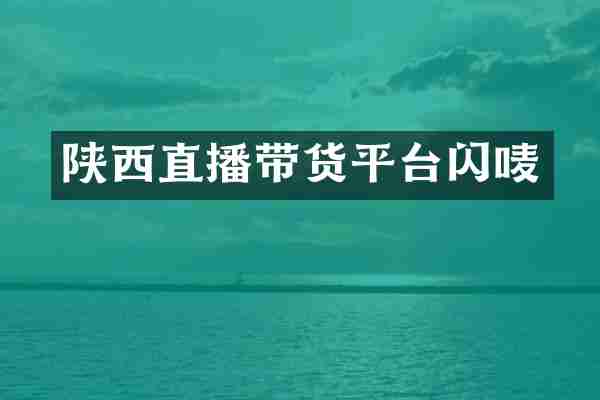 陕西直播带货平台闪唛