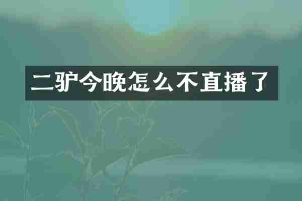 二驴今晚怎么不直播了