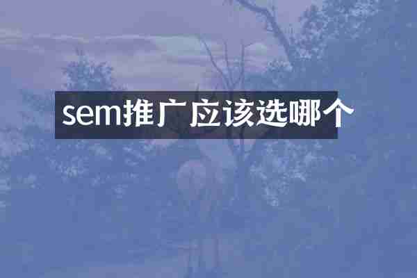 sem推广应该选哪个