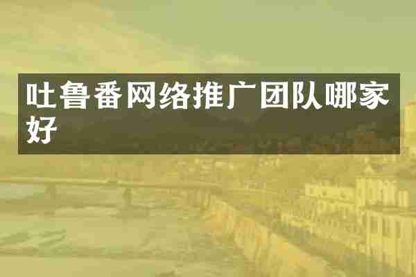 吐鲁番网络推广团队哪家好