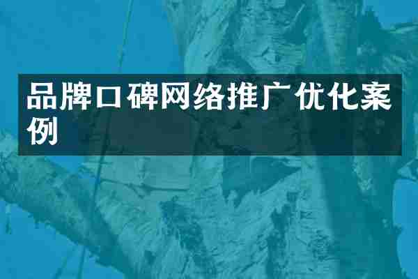品牌口碑网络推广优化案例