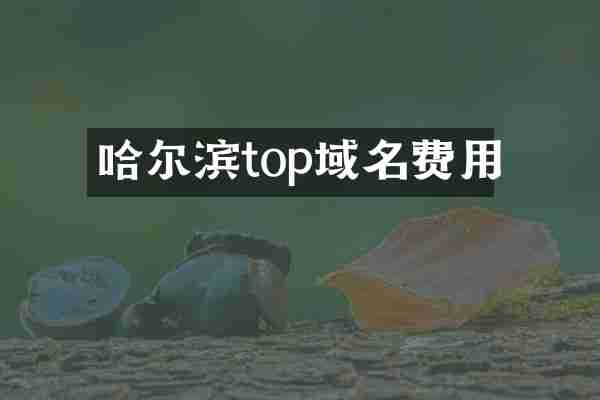 哈尔滨top域名费用