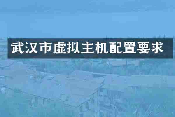 武汉市虚拟主机配置要求