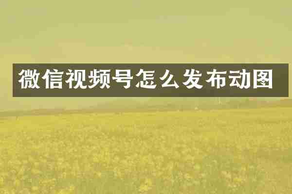 微信视频号怎么发布动图