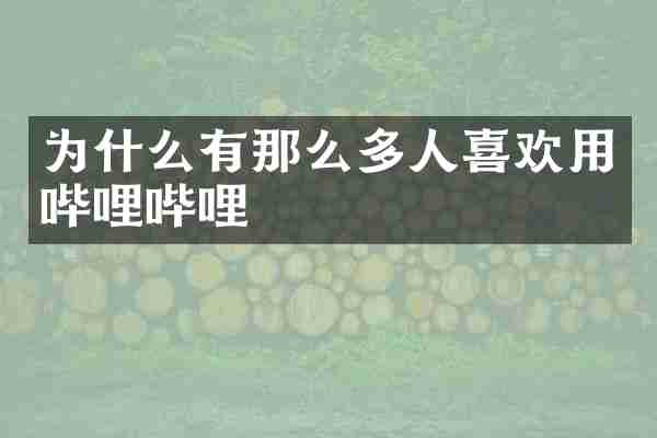 为什么有那么多人喜欢用哔哩哔哩