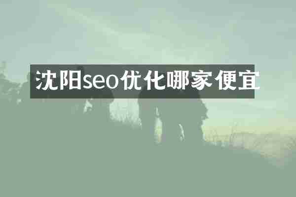 沈阳seo优化哪家便宜