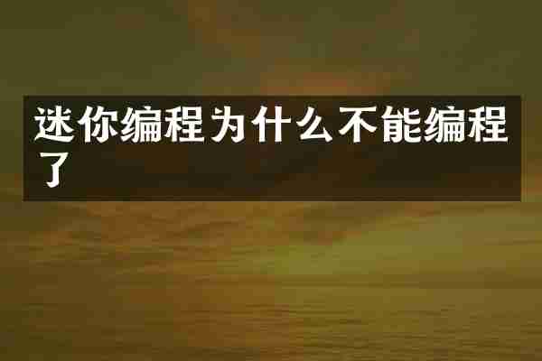 迷你编程为什么不能编程了