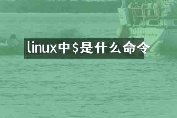 linux中$是什么命令