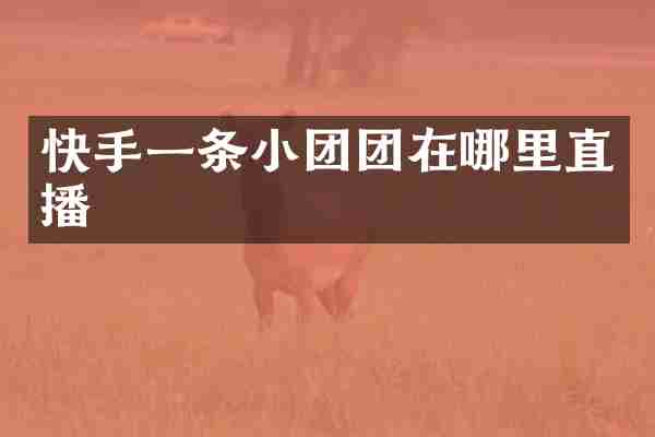快手一条小团团在哪里直播