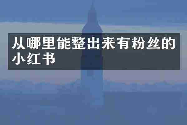 从哪里能整出来有粉丝的小红书