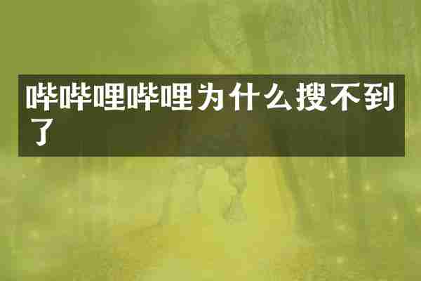 哔哔哩哔哩为什么搜不到了