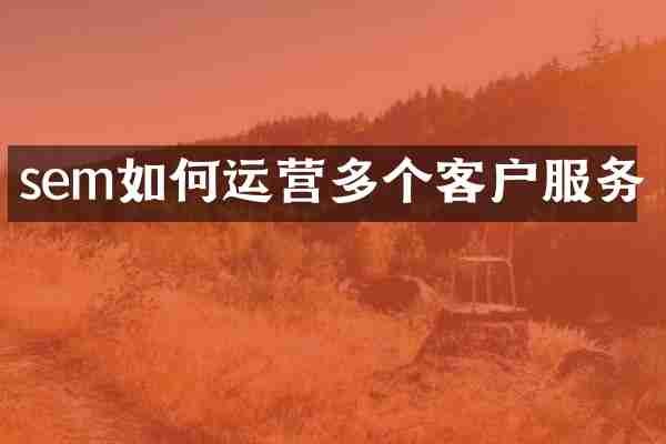 sem如何运营多个客户服务