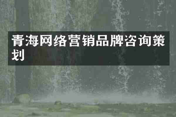 青海网络营销品牌咨询策划