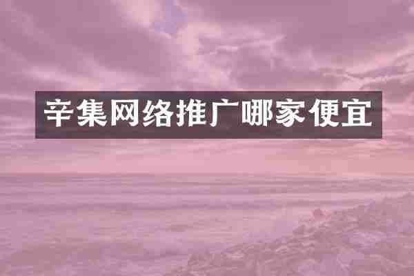 辛集网络推广哪家便宜