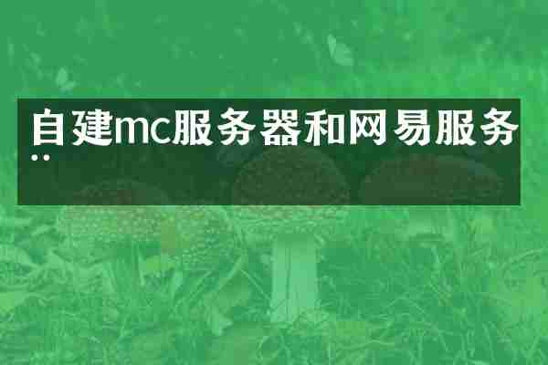 自建mc服务器和网易服务器