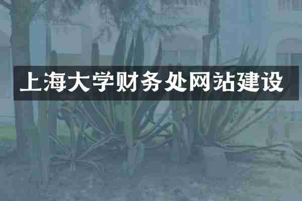上海大学财务处网站建设
