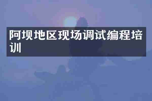 阿坝地区现场调试编程培训