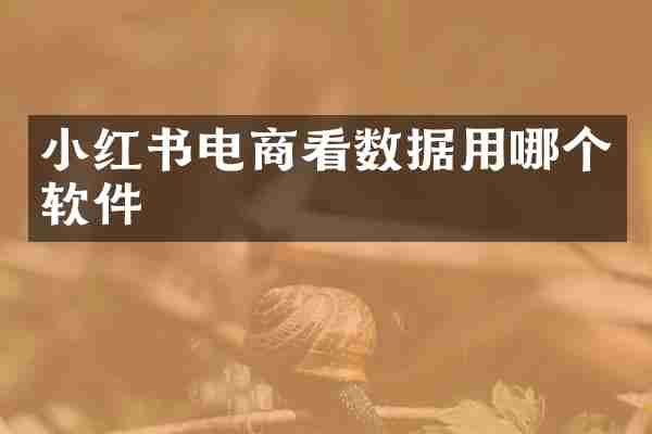 小红书电商看数据用哪个软件