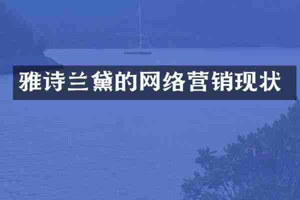 雅诗兰黛的网络营销现状