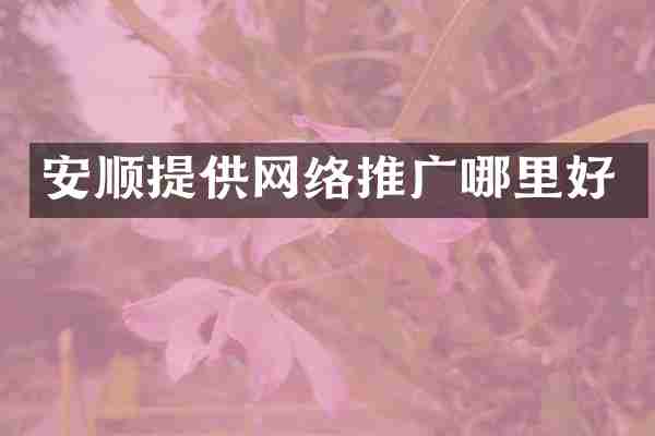 安顺提供网络推广哪里好