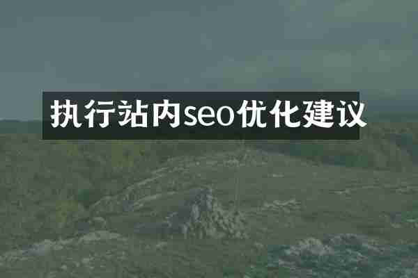 执行站内seo优化建议
