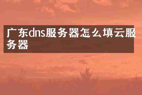 广东dns服务器怎么填云服务器