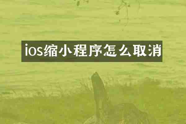 ios缩小程序怎么取消